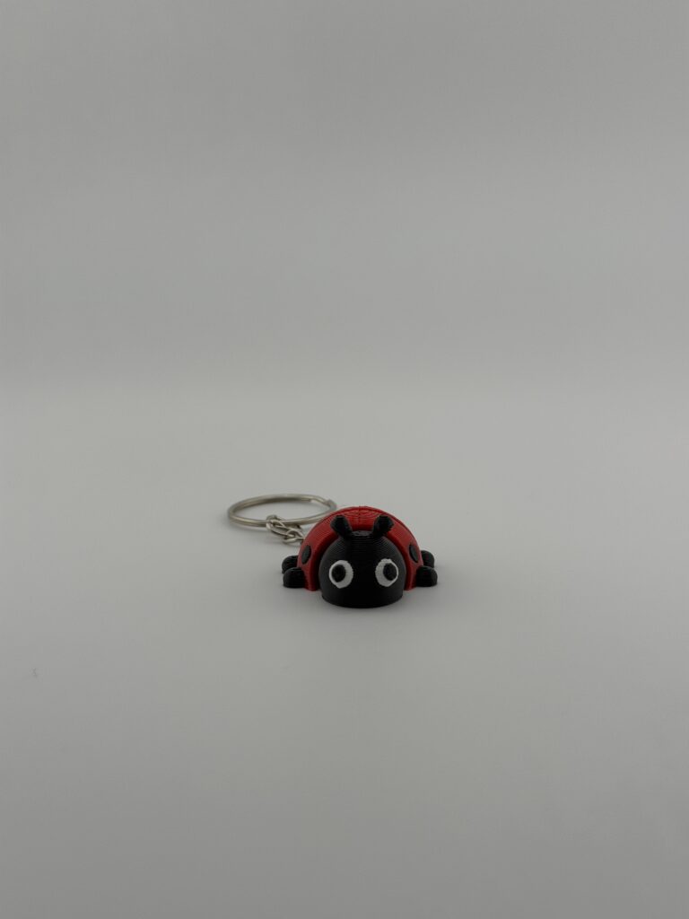 img 7593